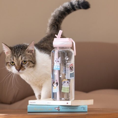 完売　レア　スターバックス　シンガポール　招き猫　猫　ガラスタンブラー　猫足 Merchandise | Starbucks Coffee Company